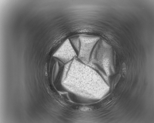 X0000055970547200509162201