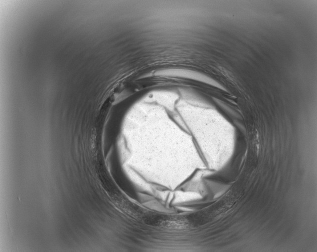 X0000055970548200509162201