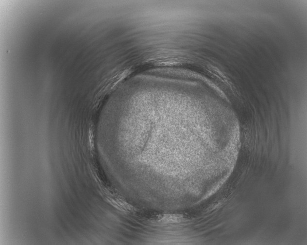 X0000055970549200509162201