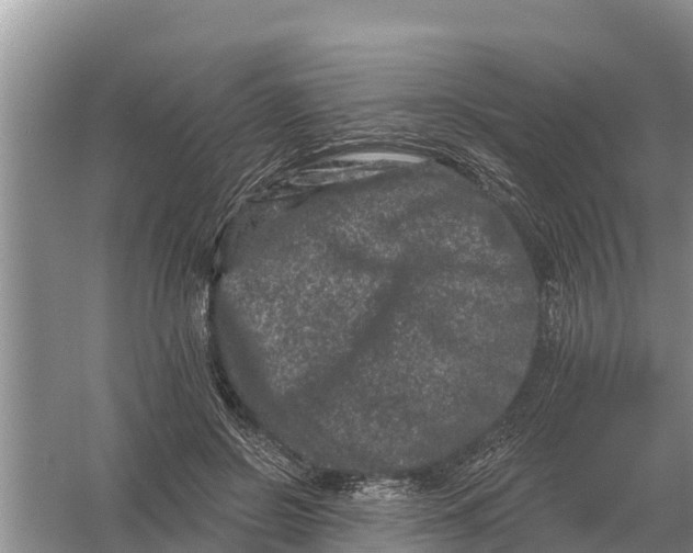 X0000055970550200509162201