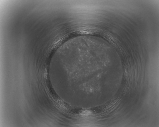 X0000055970551200509162201