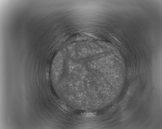 X0000055970553200509162201