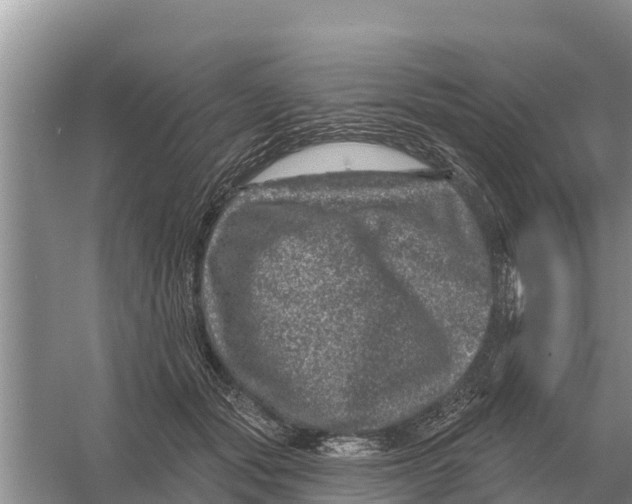 X0000055970557200509162201