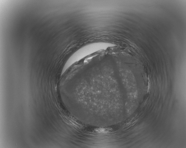 X0000055970558200509162201