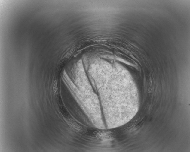 X0000055970560200509162201