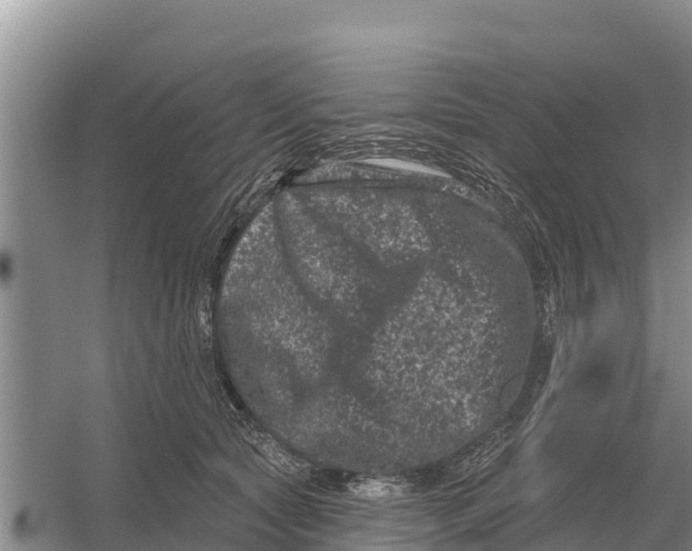 X0000055970561200509162201