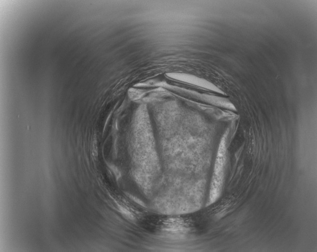 X0000055970562200509162201