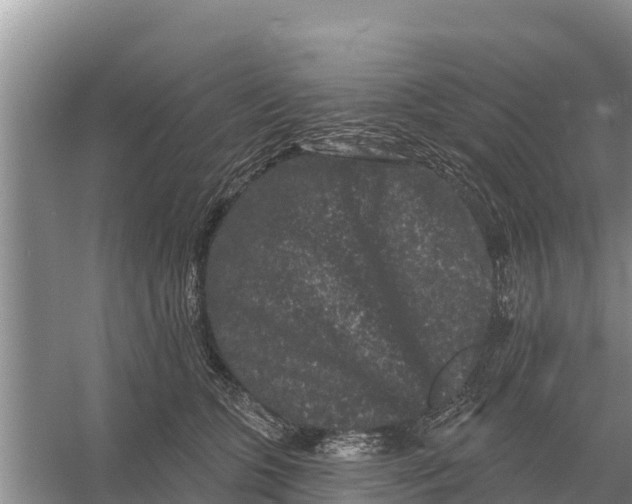 X0000055970563200509162201