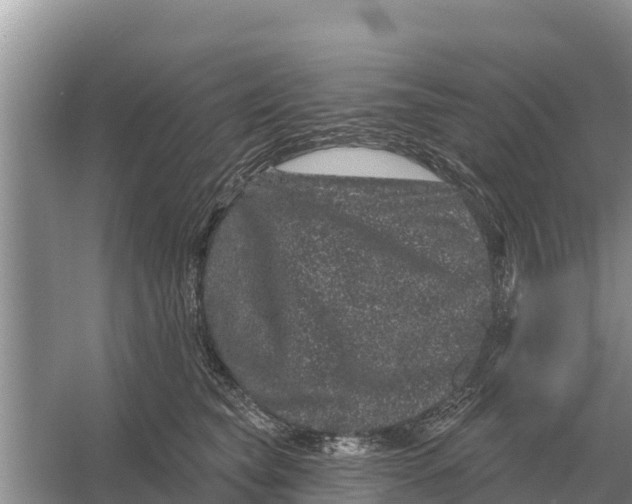 X0000055970565200509162201