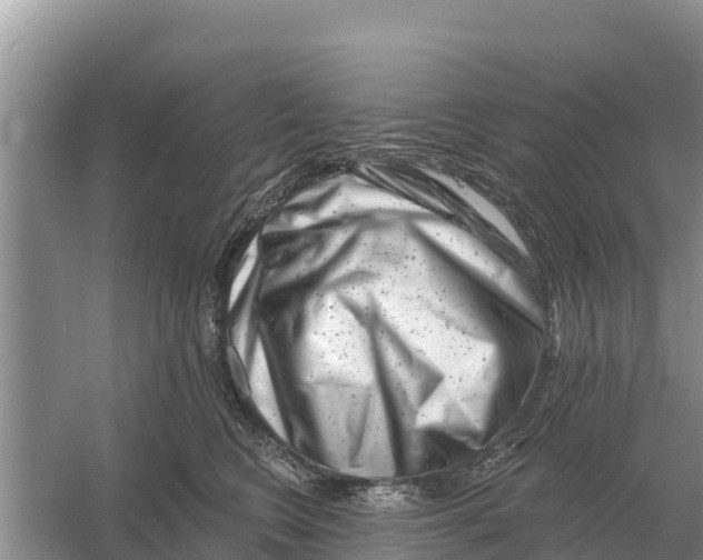 X0000055970566200509162201