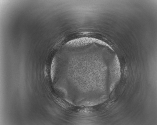 X0000055970567200509162201