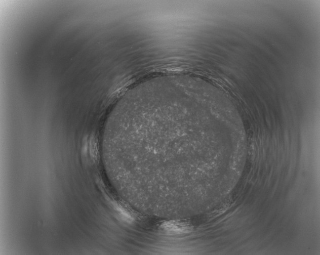 X0000055970568200509162201