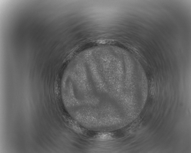 X0000055970569200509162201