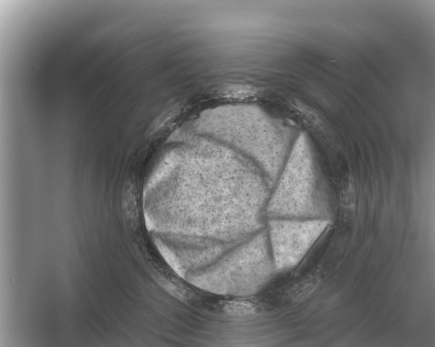 X0000055970572200509162201