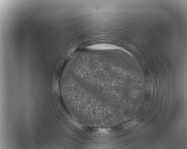 X0000055970573200509162201