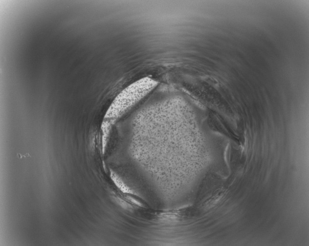 X0000055970574200509162201