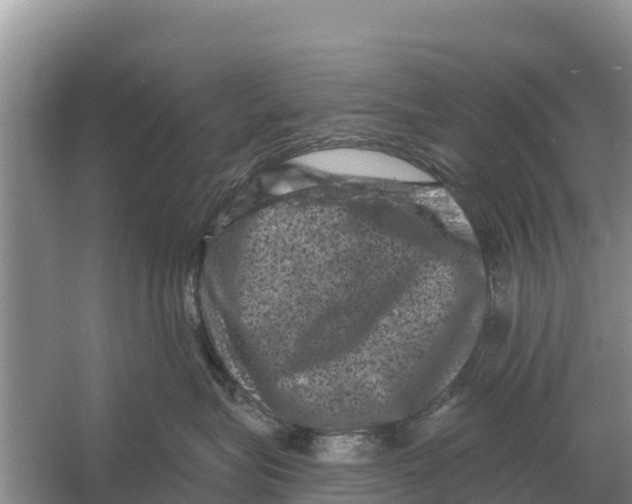 X0000055970575200509162201