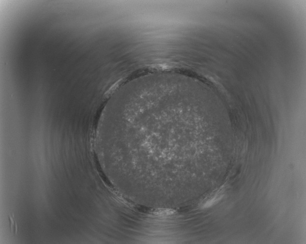 X0000055970576200509162201