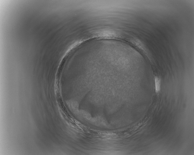 X0000055970579200509162201