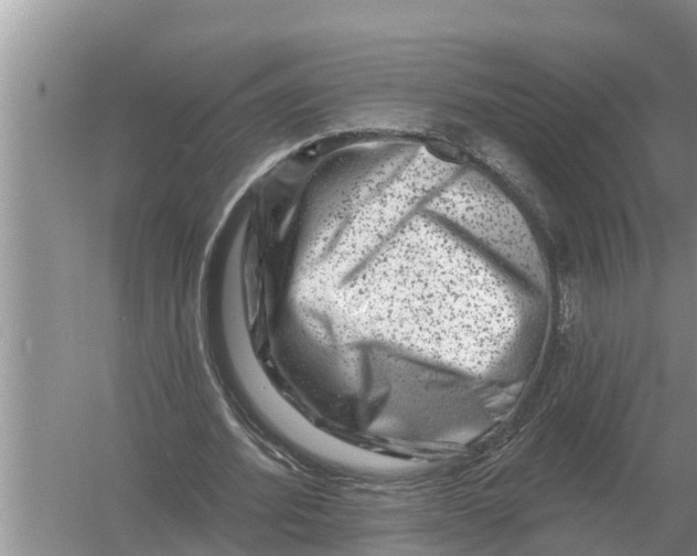 X0000055970580200509162201