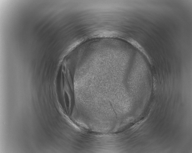 X0000055970581200509162201