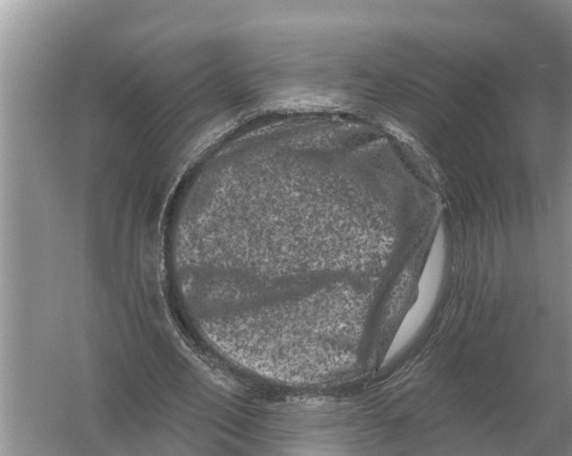 X0000055970582200509162201