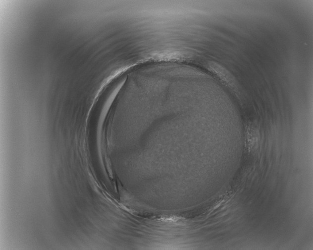 X0000055970583200509162201