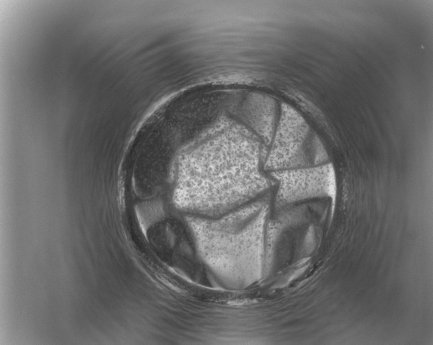 X0000055970584200509162201