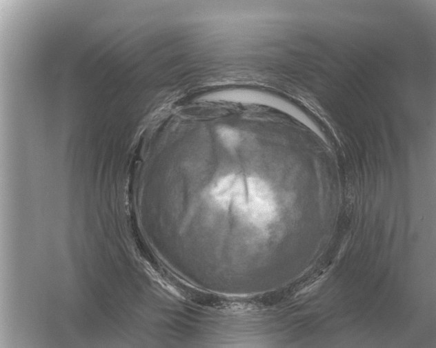 X0000055970585200509162201