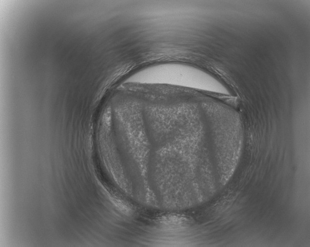 X0000055970586200509162200