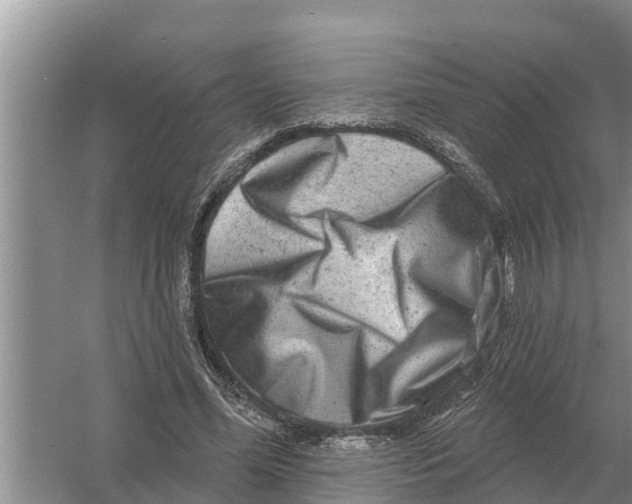 X0000055970588200509162200