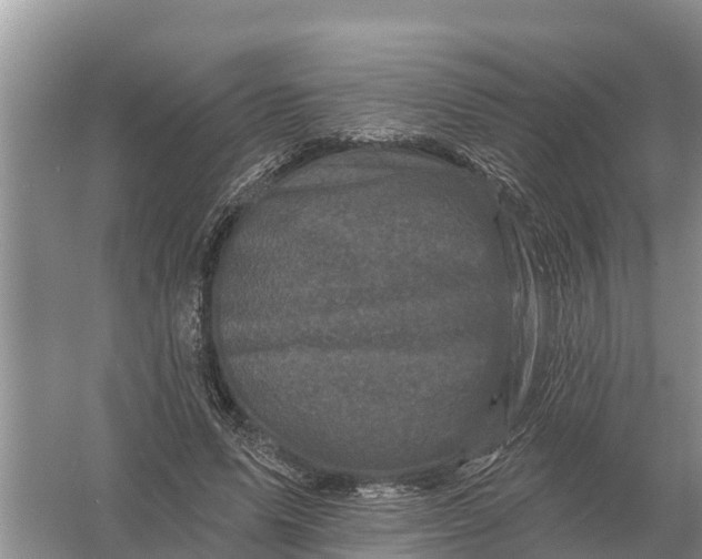 X0000055970591200509162200