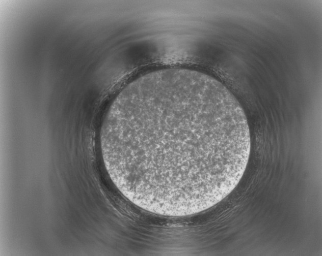 X0000055970592200509162200