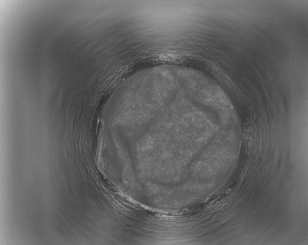 X0000055970593200509162200