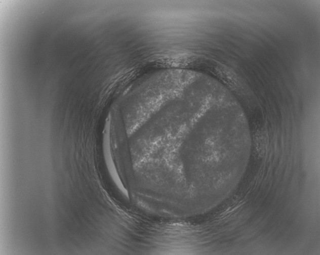 X0000055970594200509162200