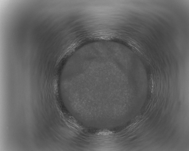 X0000055970595200509162200