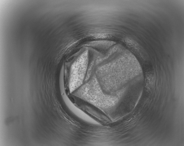 X0000055970596200509162200