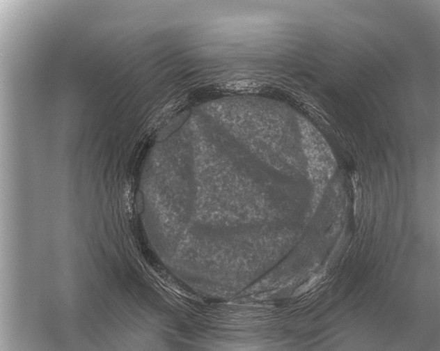 X0000055970597200509162200