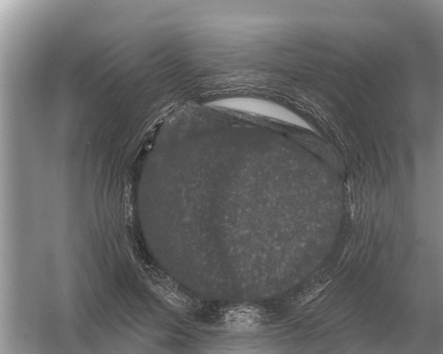 X0000055970599200509162200