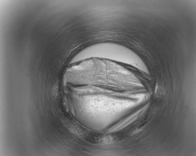 X0000055970600200509162200