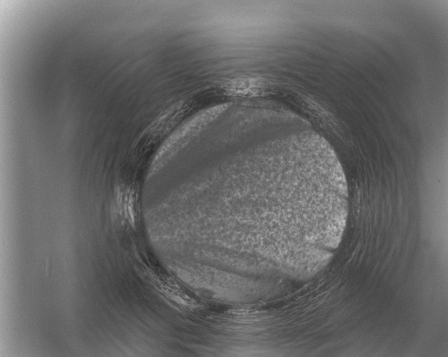 X0000055970601200509162200