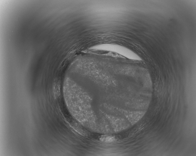 X0000055970602200509162200