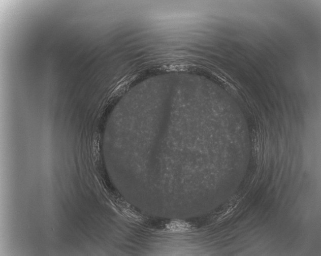 X0000055970603200509162200