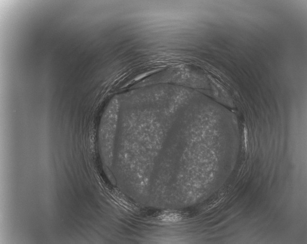 X0000055970604200509162200