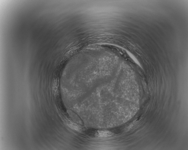 X0000055970605200509162200