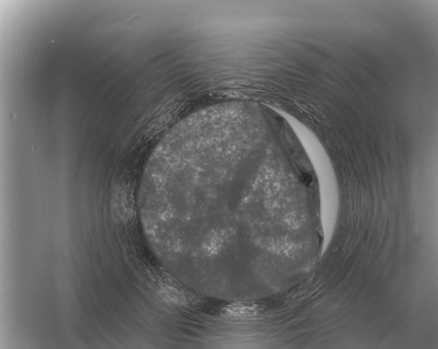 X0000055970606200509162200