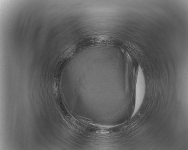 X0000055970607200509162200