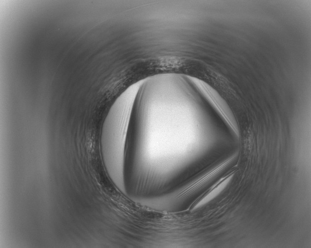 X0000055970608200509162200