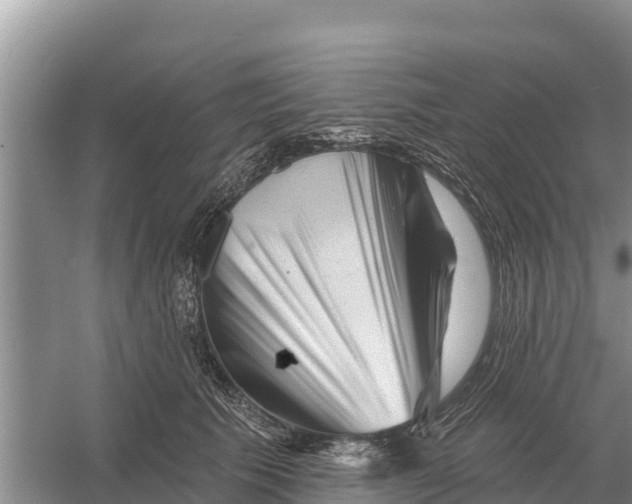 X0000055970609200509162200