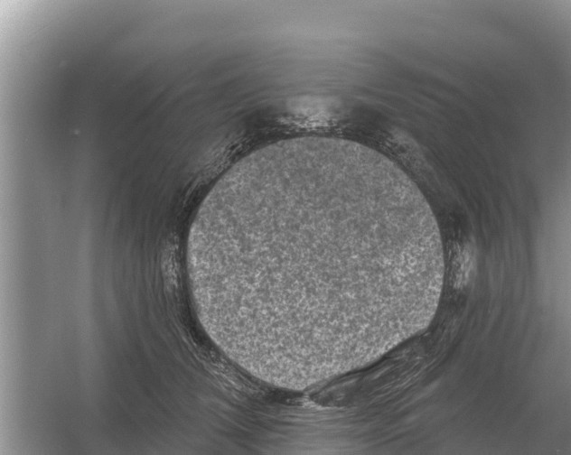 X0000055970612200509162200